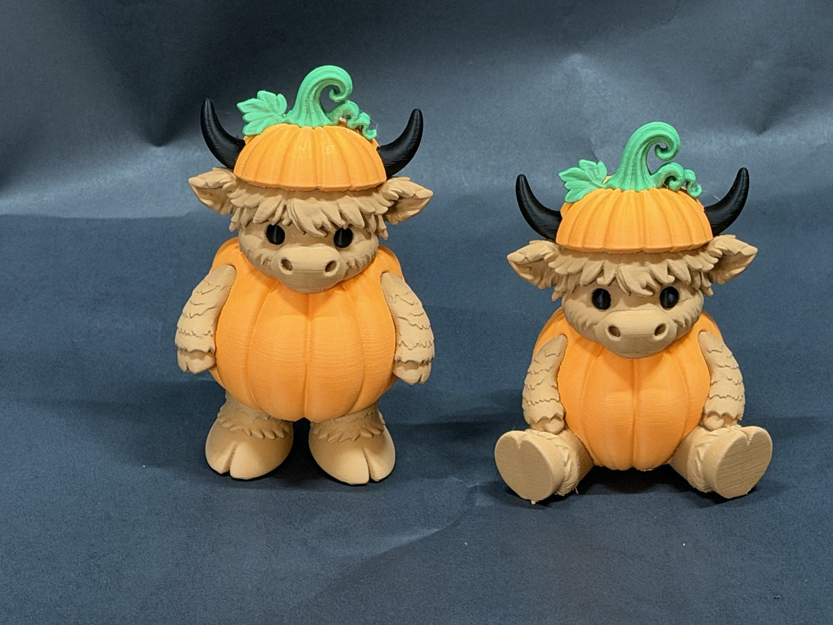 Highland Pumpkin Cows